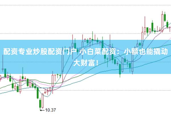 配資專業(yè)炒股配資門戶 小白菜配資：小額也能撬動大財富！
