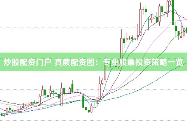 炒股配資門戶 真蕨配資圖：專業(yè)股票投資策略一覽