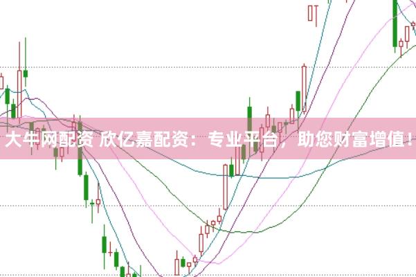 大牛網(wǎng)配資 欣億嘉配資：專業(yè)平臺，助您財富增值！