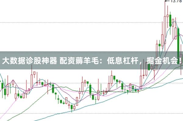 大數(shù)據(jù)診股神器 配資薅羊毛：低息杠桿，掘金機(jī)會！