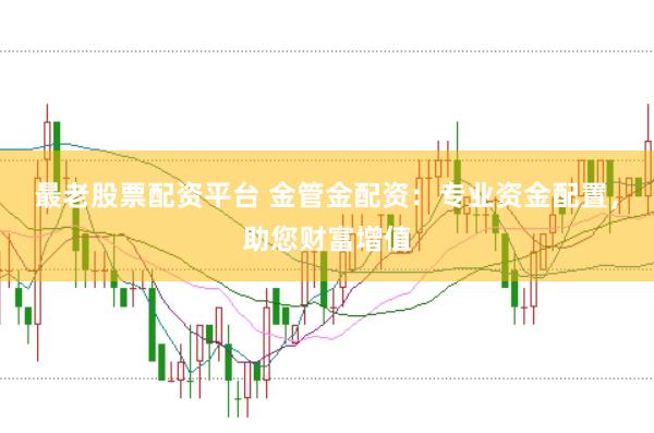 最老股票配資平臺(tái) 金管金配資：專業(yè)資金配置，助您財(cái)富增值