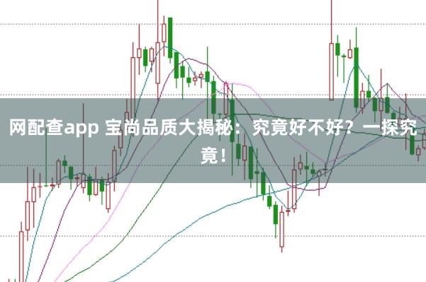 網(wǎng)配查app 寶尚品質(zhì)大揭秘：究竟好不好？一探究竟！