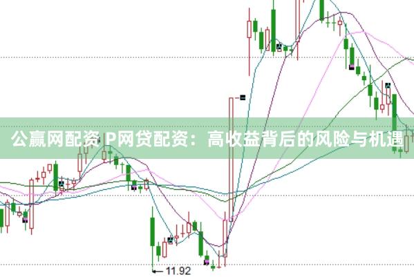 公贏網(wǎng)配資 P網(wǎng)貸配資：高收益背后的風險與機遇