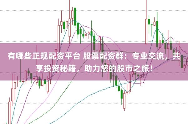 有哪些正規(guī)配資平臺(tái) 股票配資群：專業(yè)交流，共享投資秘籍，助力您的股市之旅！